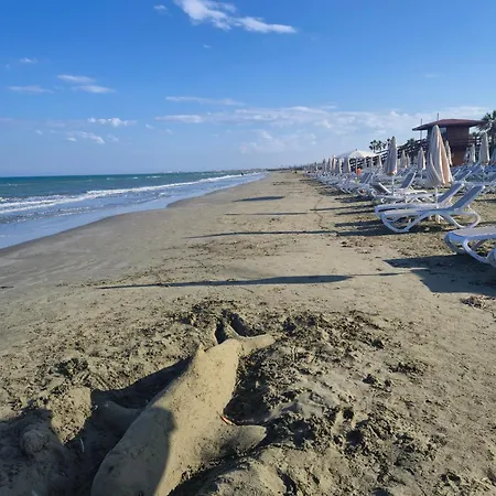 Bright With A Sea-view On The First Line Larnaka